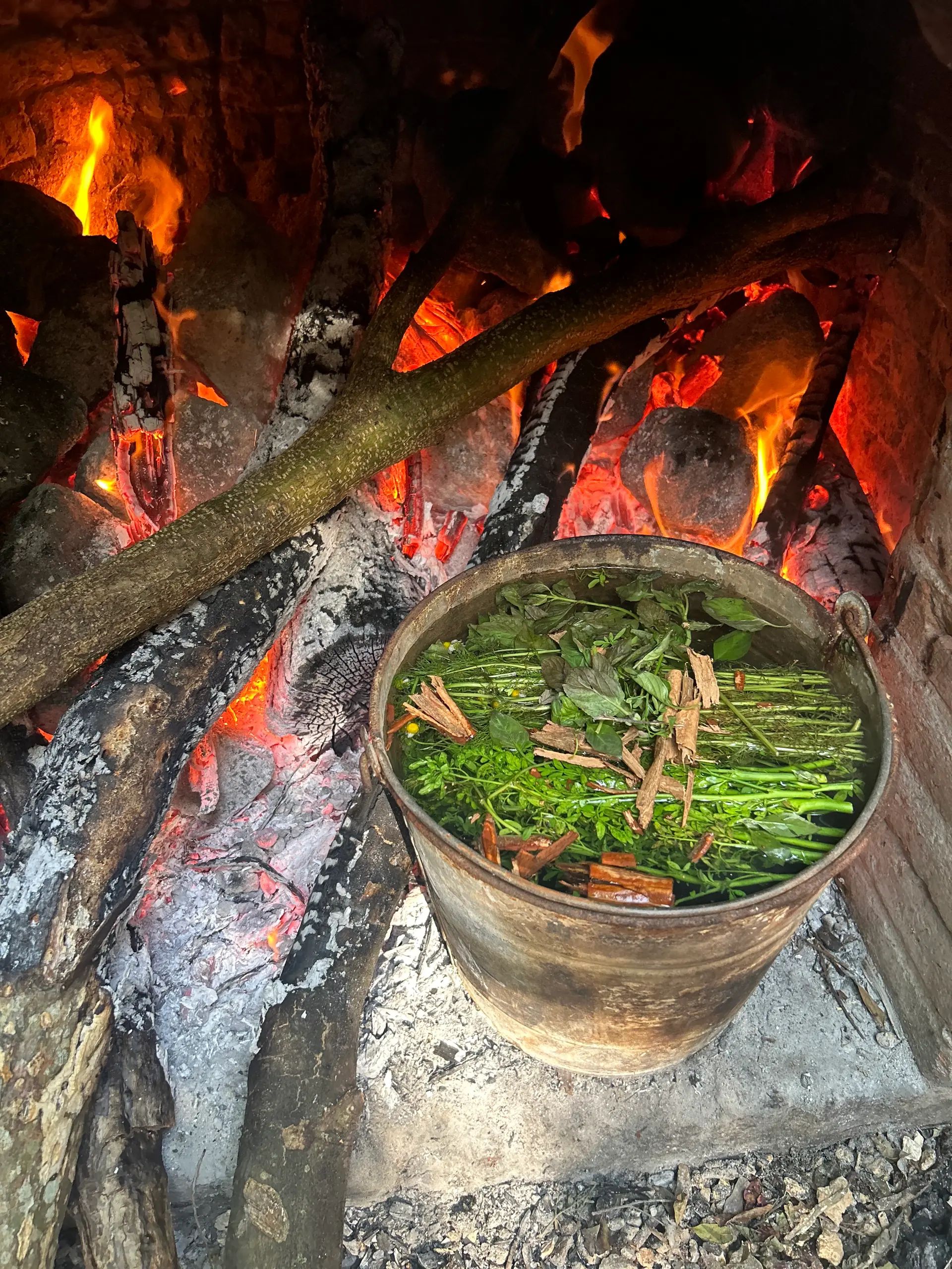 Olla de cobre con hierbas frescas hirviendo sobre las brasas